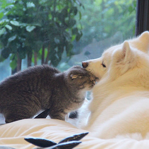 三上悠亚精品视频
